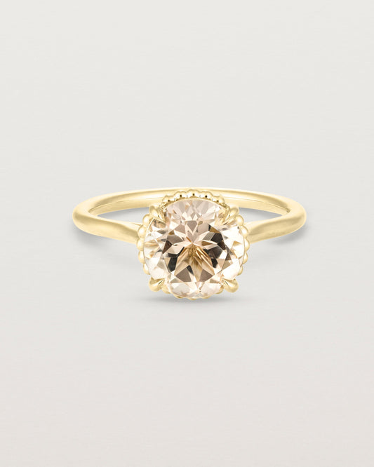 Thea Round Solitaire | Savannah Sunstone